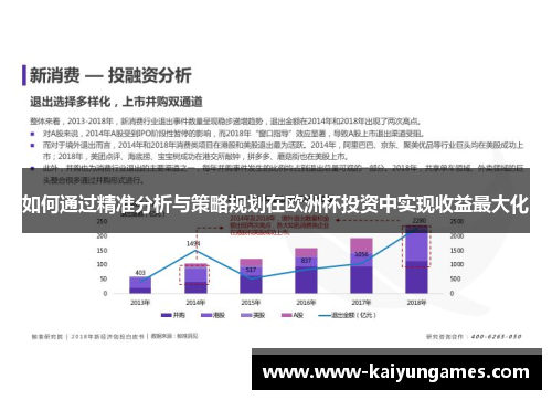 如何通过精准分析与策略规划在欧洲杯投资中实现收益最大化